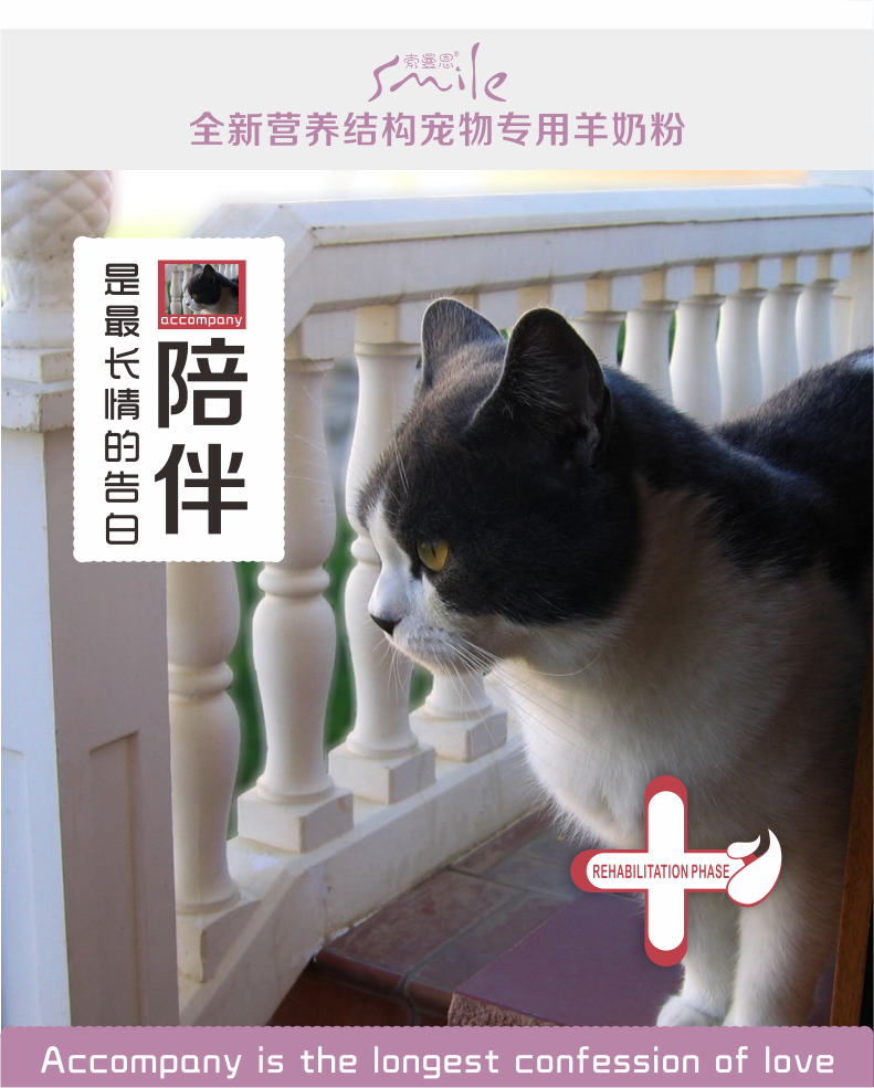 06康复期猫用羊奶粉详情页06.png